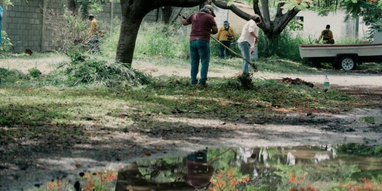 Activa SEDUMA brigadas ciudadanas de limpieza durante Semana Ambiental