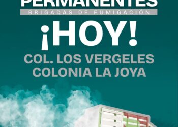 Gobierno de Matamoros continúa jornadas de fumigación en Los Vergeles y La Joya