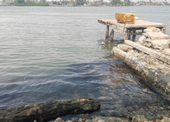 Pescadores denuncian derrame en Río Pánuco; PEMEX lo niega
