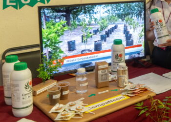 Desarrolla alumna de la UAT biopesticida que elimina plagas agrícolas