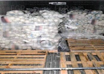 Aseguramiento de cristal oculto en un cargamento de cebollas durante un operativo en Reynosa.
