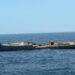Arrecife artificial de Matamoros suma 4 buques que serán hábitat de especies
