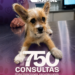 Gobierno de Matamoros fortalece el bienestar animal con más de 750 consultas veterinarias