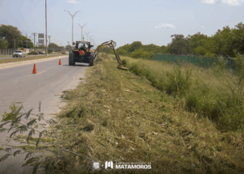 Gobierno de Matamoros refuerza acciones de limpieza y mantenimiento en espacios públicos