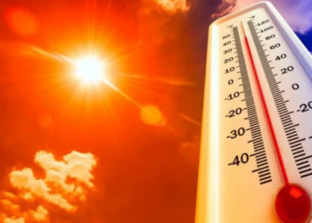 Prevén sensación térmica de hasta 50 grados por canícula en Tamaulipas; conoce cuándo inicia