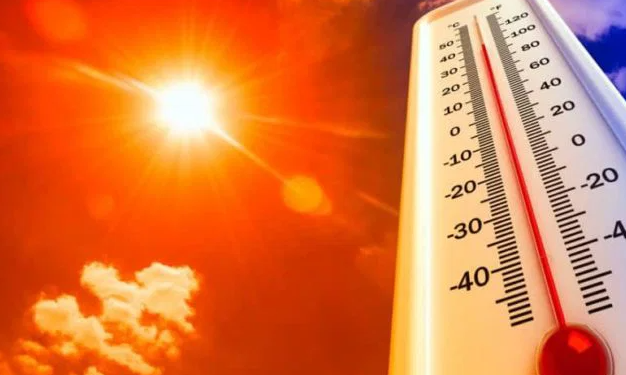 Prevén sensación térmica de hasta 50 grados por canícula en Tamaulipas; conoce cuándo inicia