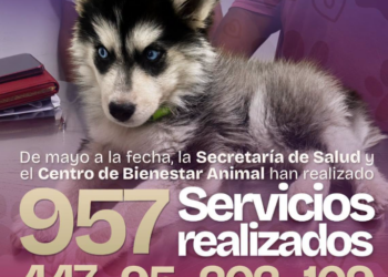 Gobierno de Beto Granados fortalece el bienestar animal con más de 950 servicios en Matamoro