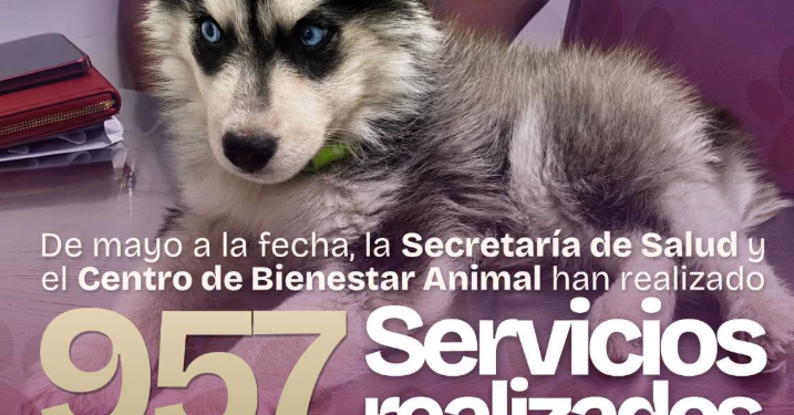 Gobierno de Beto Granados fortalece el bienestar animal con más de 950 servicios en Matamoro