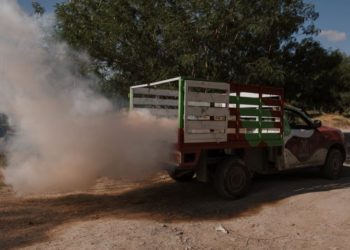 Gobierno de Beto Granados refuerza jornadas permanentes de fumigación en Matamoros