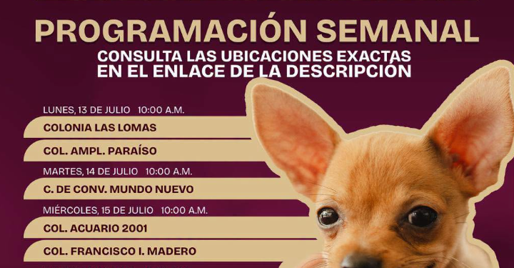 Gobierno de Matamoros continua con las jornadas permanentes del Módulo de Zoonosis