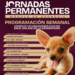 Gobierno de Matamoros continua con las jornadas permanentes del Módulo de Zoonosis