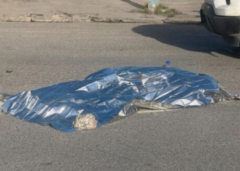 Muerte vial en Matamoros: atropellan a adulto mayor en Avenida del Niño