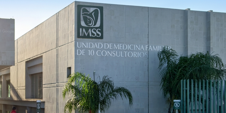 No solo eran pulgas: invaden mapaches hospital del IMSS en Matamoros