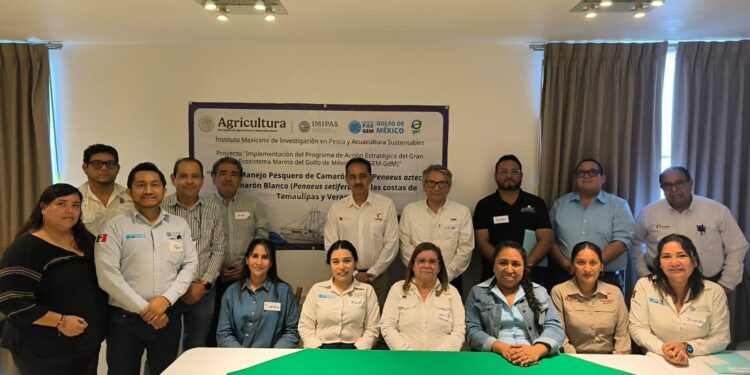 Impulsa Tamaulipas acciones estratégicas para la pesca sustentable del camarón