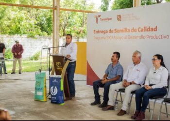 Fortalece Tamaulipas la producción agrícola con apoyos de semilla certificada