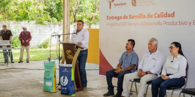 Fortalece Tamaulipas la producción agrícola con apoyos de semilla certificada