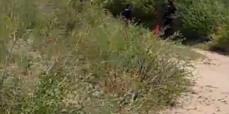 Elementos de la Fiscalía de Tamaulipas realizan diligencias tras el hallazgo del cuerpo de una mujer en Reynosa.