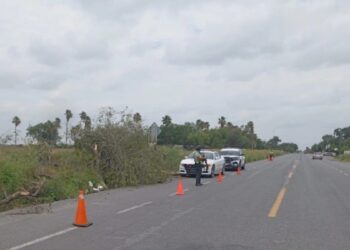 Elementos de la Fiscalía de Tamaulipas realizan investigaciones por el hallazgo de una mujer sin vida en Reynosa.