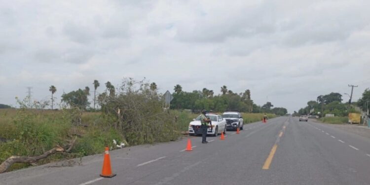 Elementos de la Fiscalía de Tamaulipas realizan investigaciones por el hallazgo de una mujer sin vida en Reynosa.