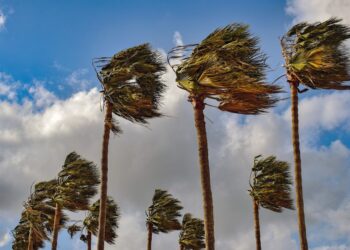 Surada en Tamaulipas: qué es y qué causará este fenómeno climatológico