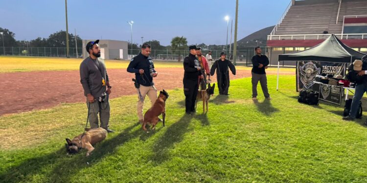 Binomios K-9 de la Guardia Estatal ya tienen especialidad en certificación canina