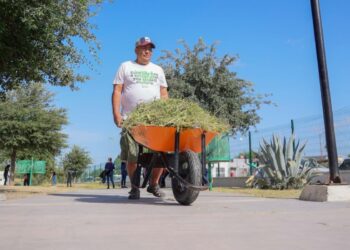 Empleo temporal en Tamaulipas beneficia a zonas vulnerables