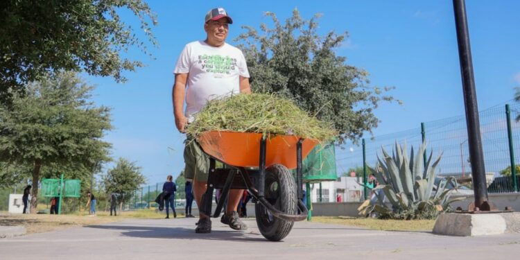 Empleo temporal en Tamaulipas beneficia a zonas vulnerables