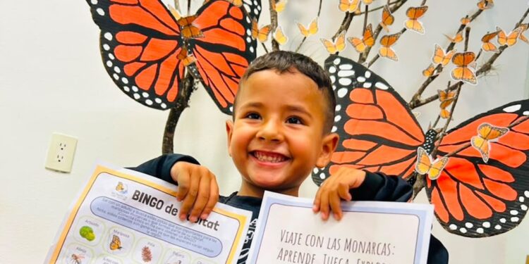 Fomentan cuidado de Mariposa Monarca en Tamaulipas