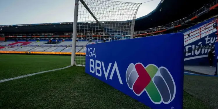 Este es el nuevo modelo deportivo de la FMF, pero sin ascenso ni descenso