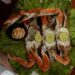 Ruta Gastronómica Cantinas de Tradición recorrido por la historia de Tampico