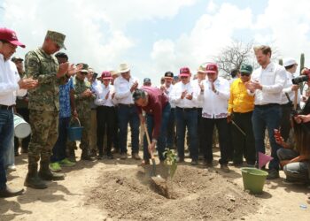 Tamaulipas participa en Jornada Nacional de Reforestación con 15 mil árboles nuevos
