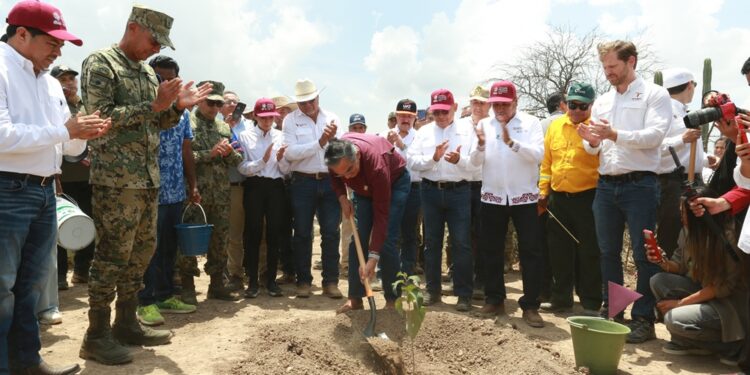 Tamaulipas participa en Jornada Nacional de Reforestación con 15 mil árboles nuevos