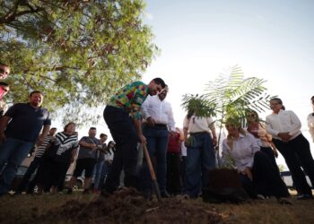 Autoridades y voluntarios participan en la Jornada Nacional de Reforestación en Matamoros.