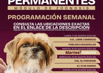 Jornadas de Zoonosis a colonias y ejidos de Matamoros.