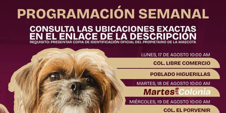 Jornadas de Zoonosis a colonias y ejidos de Matamoros.