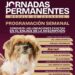 Jornadas de Zoonosis a colonias y ejidos de Matamoros.