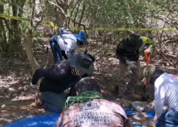 Hallan campo de exterminio en Matamoros y visita de Sheinbaum frena búsqueda
