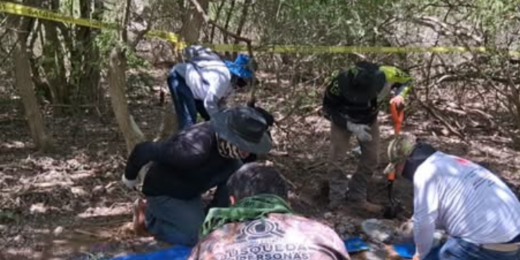 Hallan campo de exterminio en Matamoros y visita de Sheinbaum frena búsqueda