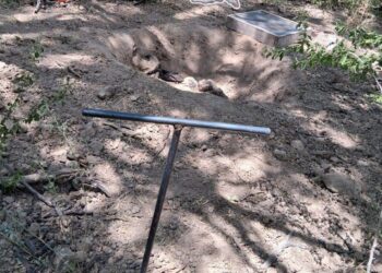 En jornada de búsqueda hallan cuerpo y dos fosas clandestinas en Miguel Alemán
