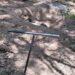 En jornada de búsqueda hallan cuerpo y dos fosas clandestinas en Miguel Alemán
