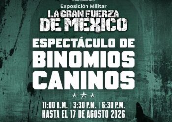 binomios-caninos-parque-olimpico-matamoros.webp