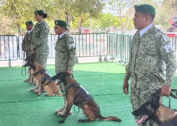 Familias recorren la Expo Militar “La Gran Fuerza de México” en el Parque Olímpico de Matamoros.