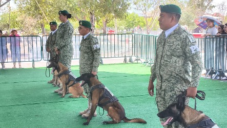 Familias recorren la Expo Militar “La Gran Fuerza de México” en el Parque Olímpico de Matamoros.