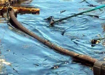 Advierten sobre otro derrame de hidrocarburo en el Río Pánuco