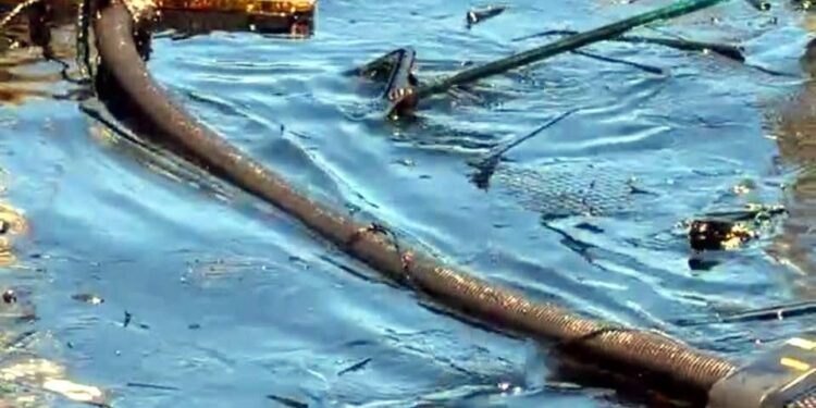 Advierten sobre otro derrame de hidrocarburo en el Río Pánuco