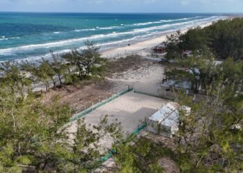 Así será el Museo de la Tortuga Lora en Tamaulipas que abrirá en 2027