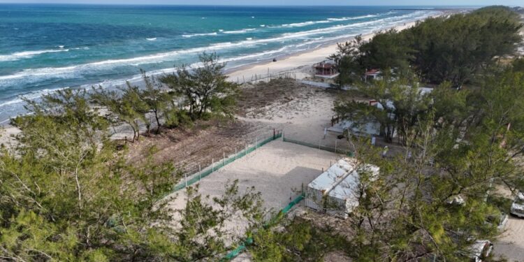 Así será el Museo de la Tortuga Lora en Tamaulipas que abrirá en 2027