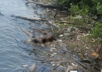 Hallan cuerpo de marino en escolleras de Ciudad Madero; estaba desaparecido