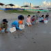 Conibio Global libera primeras tortugas caguama en playa Bagdag