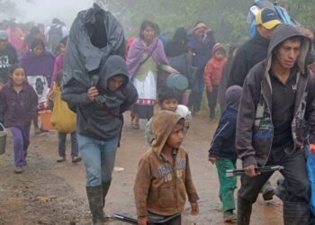Estos son los municipios con más desplazados por violencia en Tamaulipas hasta 2025